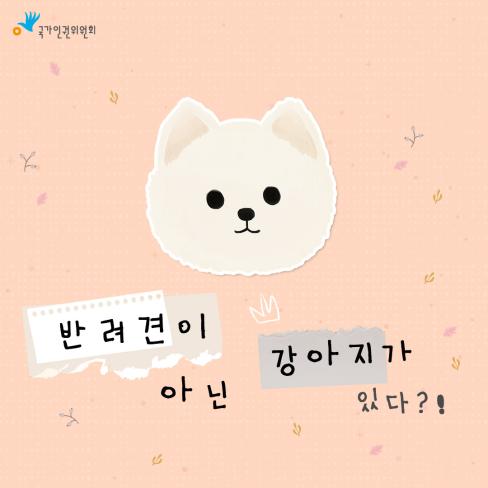 [국가인권위원회] 반려견이 아닌 강아지가 있다?! 대문사진