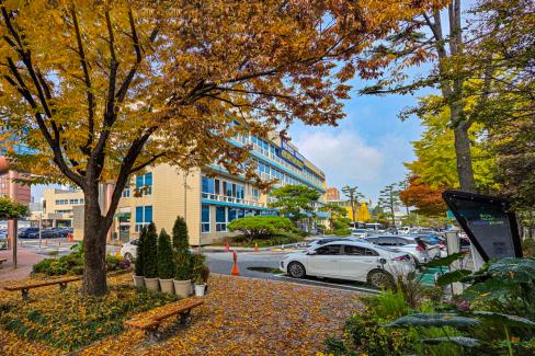 대전 중구, 2026년 장애인일자리 사업 참여자 모집 대문사진